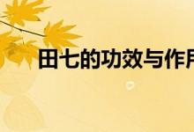 田七的功效与作用禁忌（田七的功效）