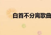白首不分离歌曲原唱（白首不分离）