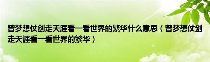 曾梦想仗剑走天涯看一看世界的繁华什么意思（曾梦想仗剑走天涯看一看世界的繁华）