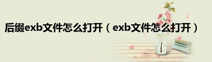 后缀exb文件怎么打开（exb文件怎么打开）