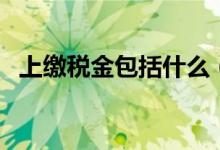 上缴税金包括什么（上缴利税包括哪些税）