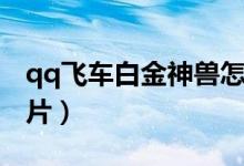 qq飞车白金神兽怎么得（qq飞车白金神兽图片）