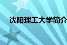 沈阳理工大学简介（沈阳工业大学地址）