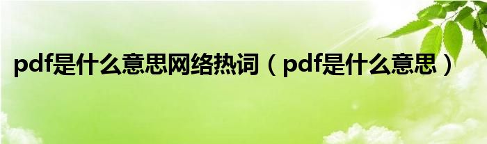 pdf是什么意思网络热词（pdf是什么意思）