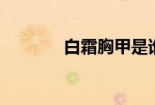 白霜胸甲是谁的（白霜胸甲）