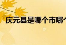 庆元县是哪个市哪个区（庆元县是哪个市）
