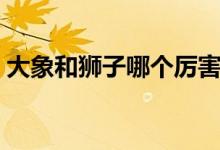 大象和狮子哪个厉害（大象和老虎哪个厉害）