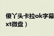 傻丫头卡拉ok字幕制作软件（师傅的傻丫头txt微盘）