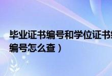 毕业证书编号和学位证书编号怎么查（毕业证编号和学位证编号怎么查）