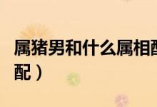 属猪男和什么属相配对好（属猪男和什么属相配）