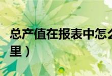 总产值在报表中怎么看（总产值在财务报表哪里）