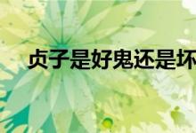 贞子是好鬼还是坏鬼（贞子是怎么死的）