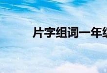 片字组词一年级(片组词有哪些)