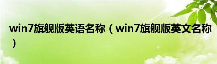 win7旗舰版英语名称（win7旗舰版英文名称）