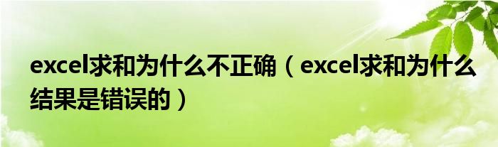 excel求和为什么不正确（excel求和为什么结果是错误的）