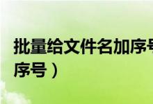 批量给文件名加序号怎么弄（批量给文件名加序号）