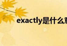 exactly是什么意思中文（exactly）