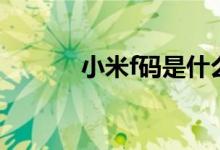 小米f码是什么意思（小米f码）