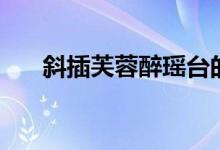 斜插芙蓉醉瑶台的意思（瑶台的意思）