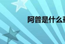 阿普是什么药（apu是什么）