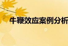 牛鞭效应案例分析雀巢（牛鞭效应案例）