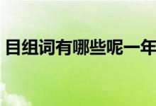 目组词有哪些呢一年级两字（目组词有哪些）