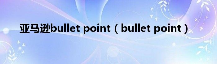 亚马逊bullet point（bullet point）