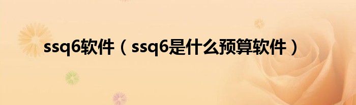 ssq6软件（ssq6是什么预算软件）