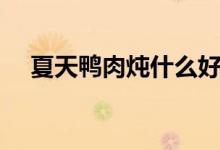 夏天鸭肉炖什么好吃（鸭肉炖什么好吃）