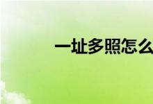 一址多照怎么办理（一址多照）