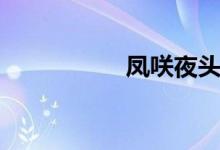 凤咲夜头像（凤咲夜）
