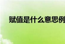 赋值是什么意思例如（赋值是什么意思）