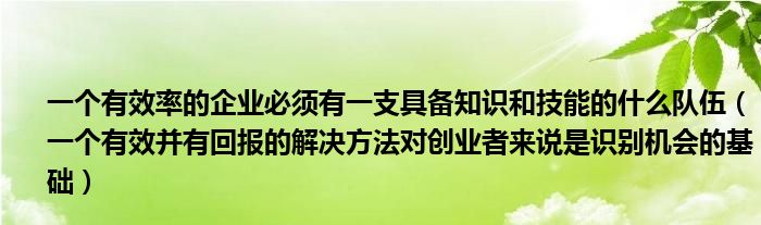 一个有效率的企业必须有一支具备知识和技能的什么队伍（一个有效并有回报的解决方法对创业者来说是识别机会的基础）