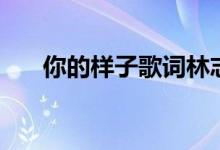 你的样子歌词林志炫(你的样子歌词)