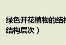 绿色开花植物的结构层次图（绿色开花植物的结构层次）
