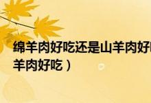 绵羊肉好吃还是山羊肉好吃多少钱一斤（绵羊肉好吃还是山羊肉好吃）