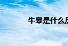 牛皋是什么历史人物（牛皋）
