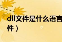 dll文件是什么语言写的（dll是什么类型的文件）