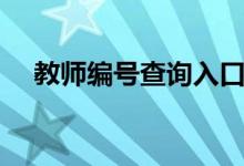 教师编号查询入口官网（教师编号查询）