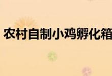 农村自制小鸡孵化箱（土法自制小鸡孵化箱）