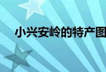 小兴安岭的特产图片（小兴安岭的特产）