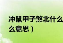 冲鼠甲子煞北什么意思（冲鼠(甲子)煞北 什么意思）