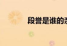 段誉是谁的亲生儿子（段誉）