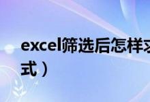 excel筛选后怎样求和（excel筛选后求和公式）