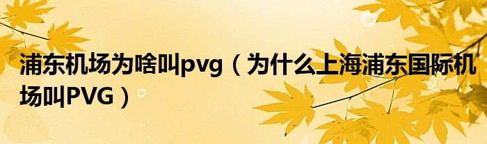 浦东机场为啥叫pvg（为什么上海浦东国际机场叫PVG）