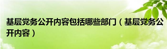 基层党务公开内容包括哪些部门（基层党务公开内容）