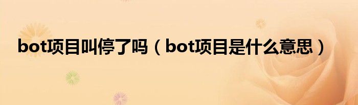 bot项目叫停了吗（bot项目是什么意思）