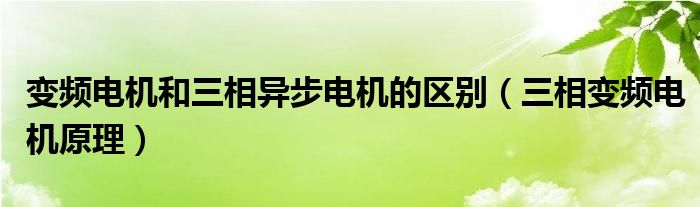 变频电机和三相异步电机的区别（三相变频电机原理）