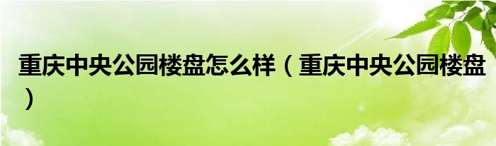 重庆中央公园楼盘怎么样（重庆中央公园楼盘）