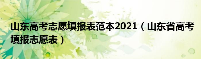 山东高考志愿填报表范本2021（山东省高考填报志愿表）